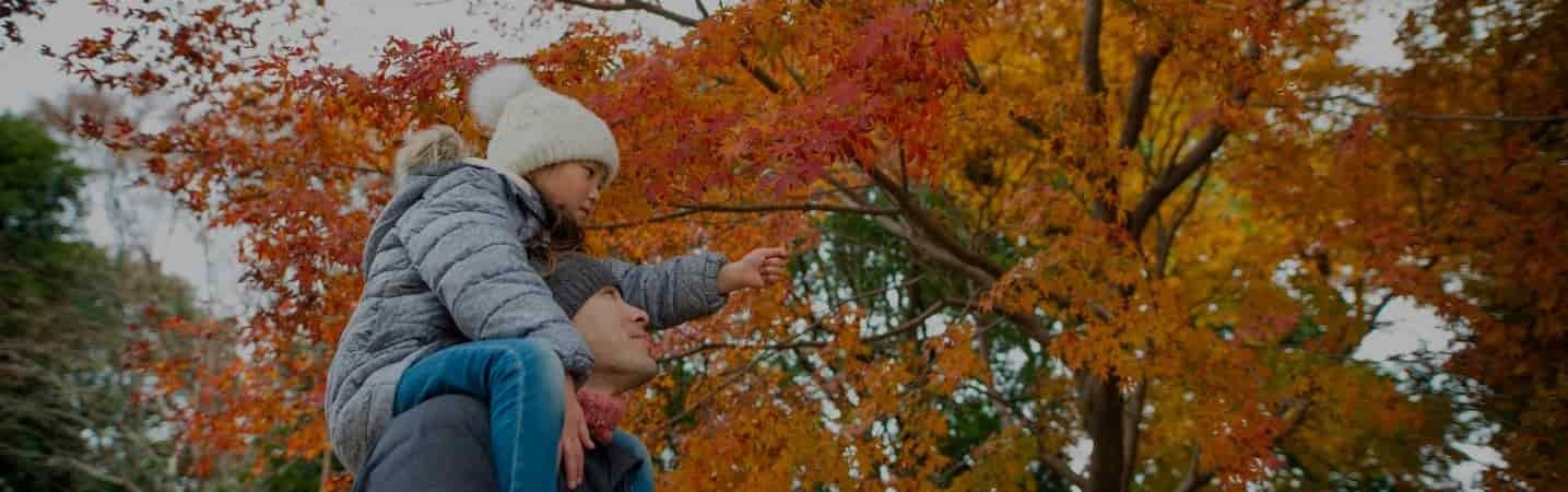 Father with child on shoulders having fun outside in the fall