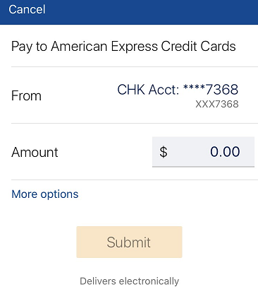 make payment screenshot