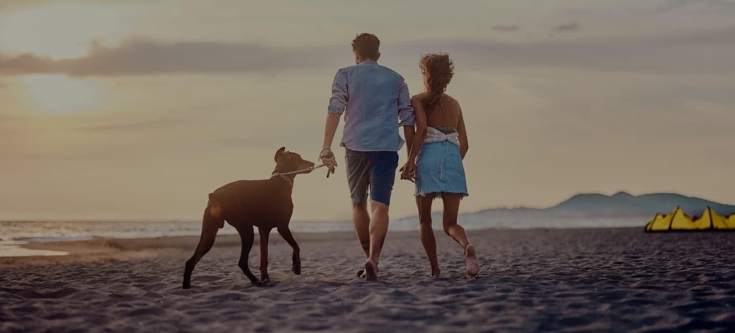 young adult couple walking on the beach with their dog