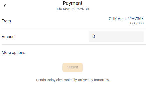 payment form screenshot