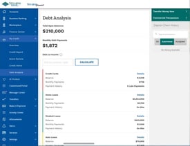 Screen shot of debit analysis