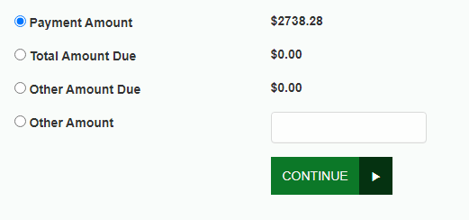 Online loan payment screenshot for step 10