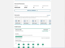 screenshot of credit report